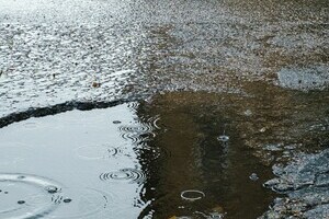Protect yourself from paving scams