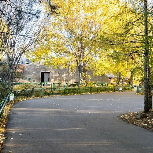 The Edmonton Valley Zoo